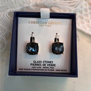 Christian Siriano Dark Glass Stone Earrings